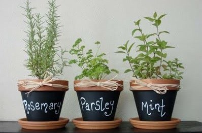 Fun-Indoor-Herb-Garden-Pots